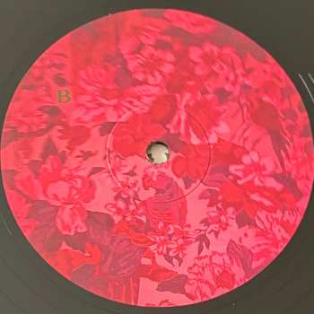 LP Lisa O'Neill: The Wind Doesn't Blow This Far Right