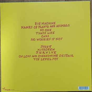 LP Liz Lawrence: Peanuts CLR