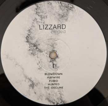 LP Lizzard: Eroded