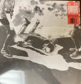 2LP Local Natives: Hummingbird CLR | DLX | LTD