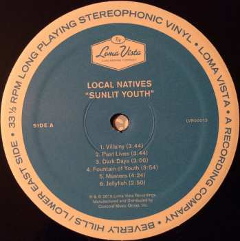 LP Local Natives: Sunlit Youth