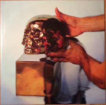 LP Local Natives: Sunlit Youth