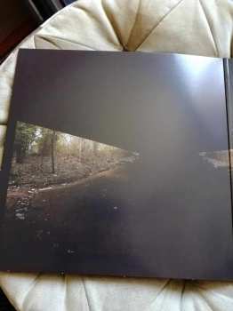 LP Lord Buffalo: Holus Bolus CLR | LTD