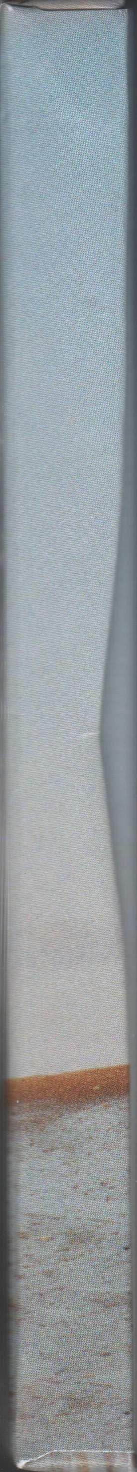 Merch Lorde: Solar Power LTD