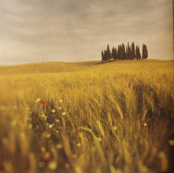 LP/CD/Box Set Loreena McKennitt: Lost Souls  DLX | LTD