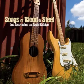 David Hidalgo: Songs of Wood & Steel