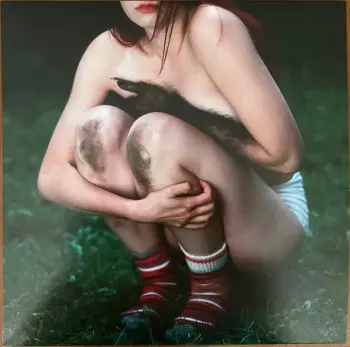 Lou-Adriane Cassidy: Journal D'un Loup-garou