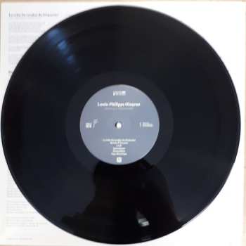 LP Louis-Philippe Gingras: Tropicale Apocalypse