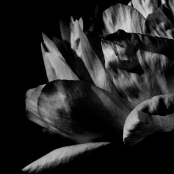 CD Louise Roam: La Ou Passe La Nuit