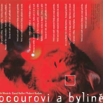 CD Lucie: Větší Než Malé Množství Lásky