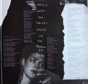 LP Lucy Kruger & The Lost Boys: Teen Tapes (For Performing Your Own Stunts)