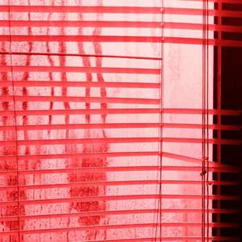 LP Luggage: Happiness