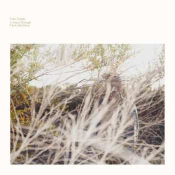LP Luke Temple: A Hand Through The Cellar Door