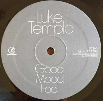 LP Luke Temple: Good Mood Fool