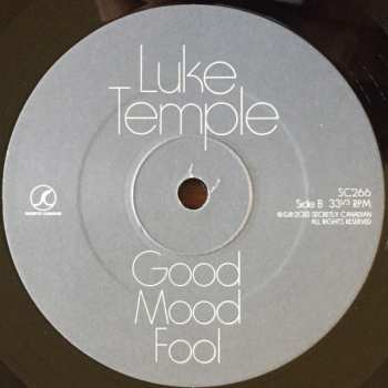 LP Luke Temple: Good Mood Fool