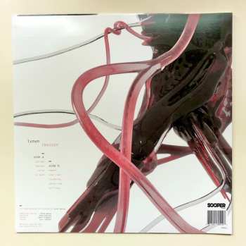 LP Lynyn: Lexicon CLR | LTD