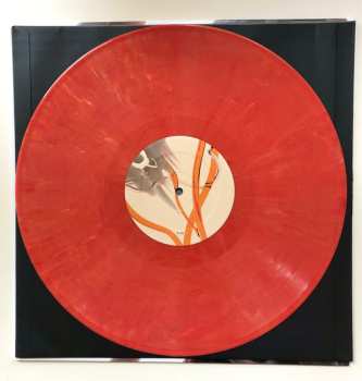 LP Lynyn: Lexicon CLR | LTD