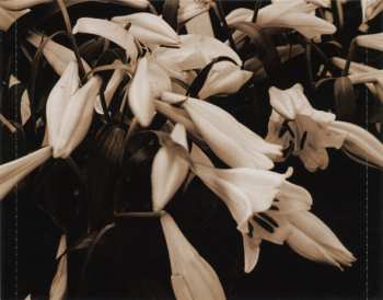 CD M. Walking On The Water: Flowers For The Departed