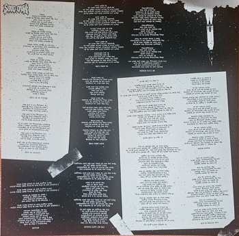 LP Mad Dogs: The Future Is Now CLR