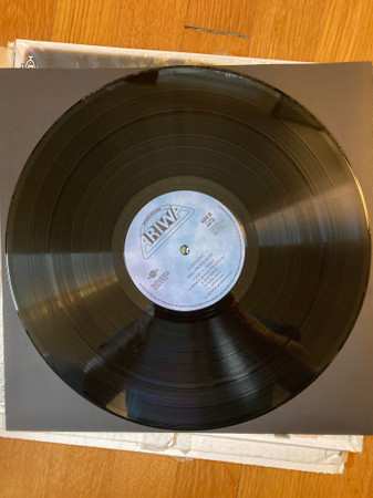 LP Mad Professor: Dubtronic