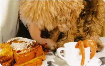 LP Madeline Kenney: Sucker's Lunch LTD