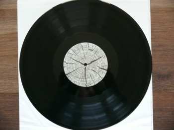 LP Hamid Drake: Balancing Tear