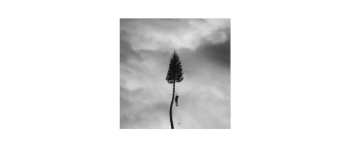 2LP Manchester Orchestra: A Black Mile To The Surface CLR