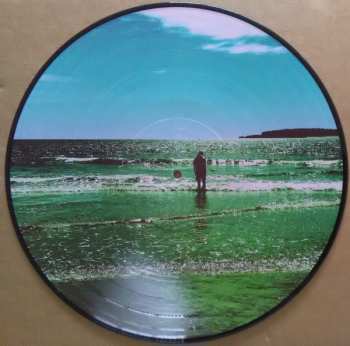 LP Manic Street Preachers: The Ultra Vivid Lament LTD | PIC