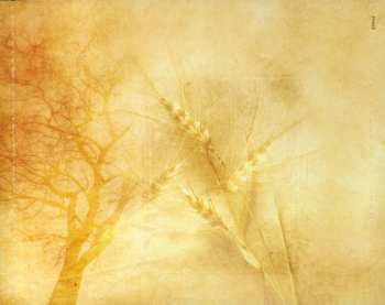 SACD Mark O'Connor: The American Seasons