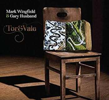 Album Gary Husband: Tor & Vale