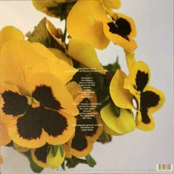 LP Markus Maria Jansen: Baby Beuys Und Die Rücksichtslosigkeit Der Hasen LTD | CLR