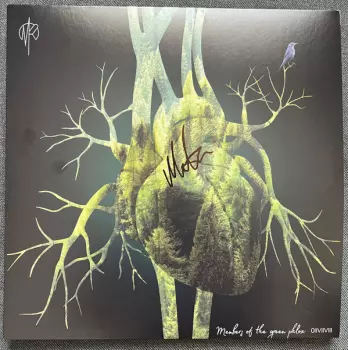 Members of the Green Phlox