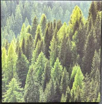 LP Martin Rubashov: Members of the Green Phlox