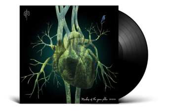 LP Martin Rubashov: Members of the Green Phlox