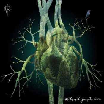 LP Martin Rubashov: Members of the Green Phlox