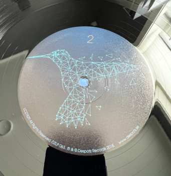 LP Martin Rubashov: The Nature Script