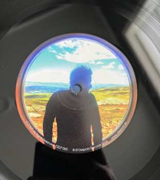 LP Martin Rubashov: The Nature Script