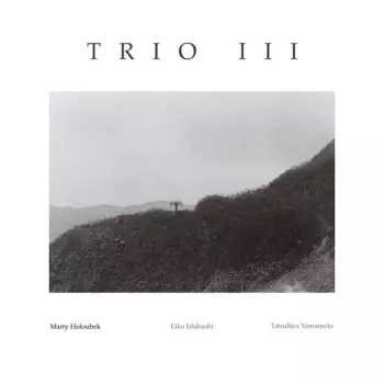 Marty Holoubek: Trio III