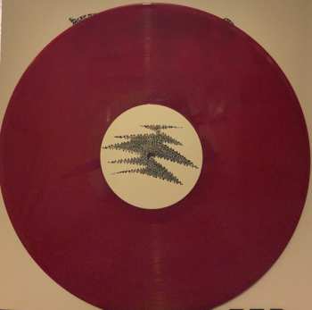 LP Marty Willson-Piper: Nightjar CLR | LTD