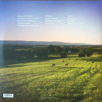 2LP Mary Chapin Carpenter: Sometimes Just The Sky