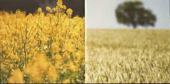 CD Mary Lou Lord: Baby Blue