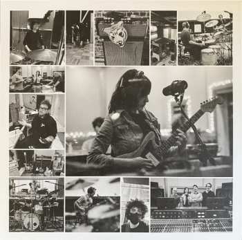 LP Mary Timony: Untame The Tiger CLR | LTD