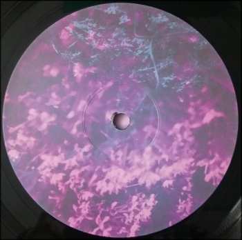 LP Mason Bee: Play Flights LTD