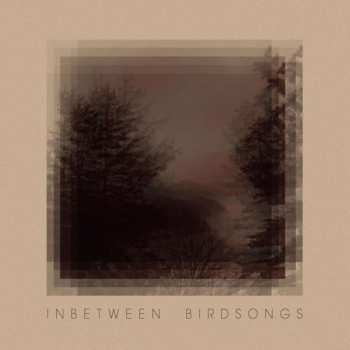 CD Matthias Gusset: Inbetween Birdsongs