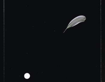 CD Maurane: Nougaro Ou L'Espérance En L'Homme