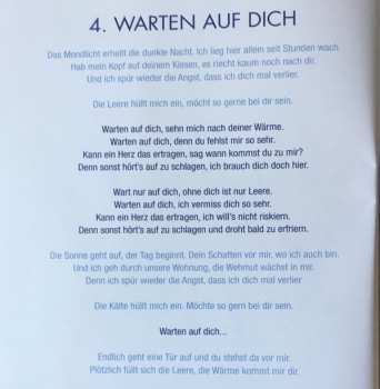 CD Maxi Arland: Liebe In Sicht