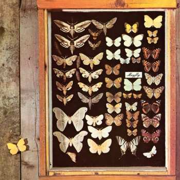 Album Mayfly: Mayfly