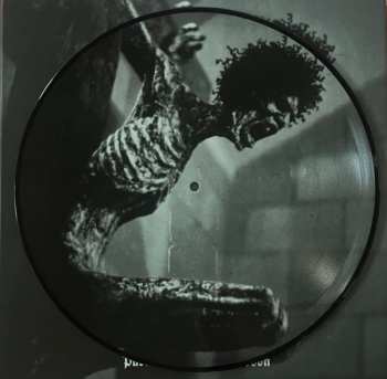 6LP/DVD Mayhem: Pure Fucking Armageddon  LTD | PIC