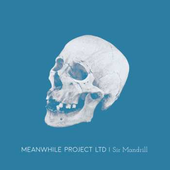 CD Meanwhile Project Ltd: Sir Mandrill