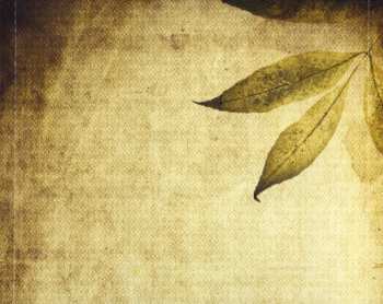 CD Meg Hutchinson: Come Up Full